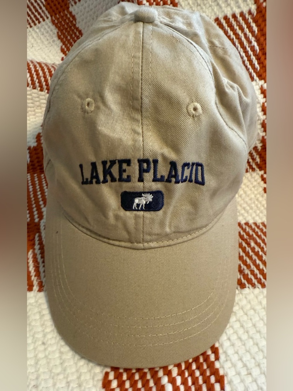 Lake Placid Embroidered Khaki Baseball Cap Moose Dad Hat Grandpacore